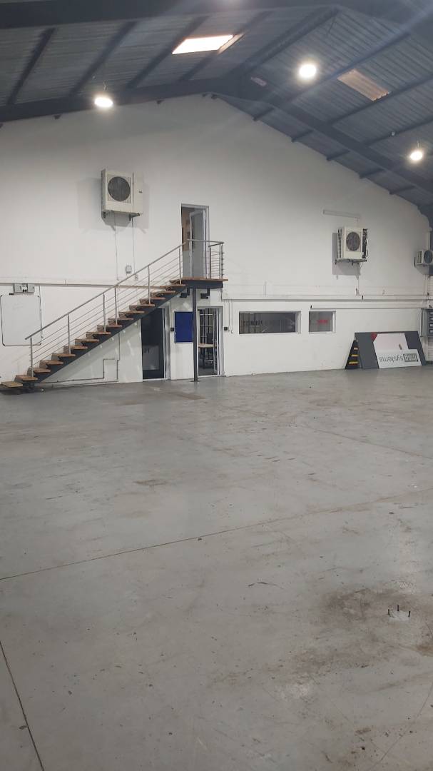 To Let commercial Property for Rent in Newton Park Eastern Cape